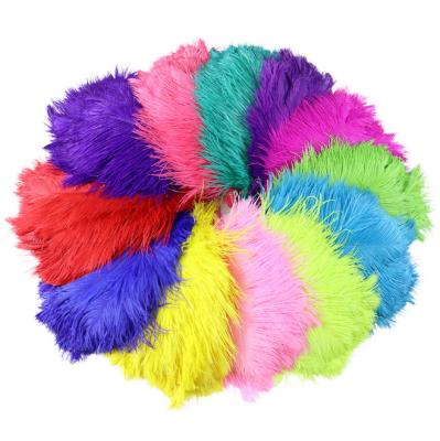 China 2023 Factory direct sales natural ostrich feather 15-95cm DIY color ostrich feather 15-135 for sale