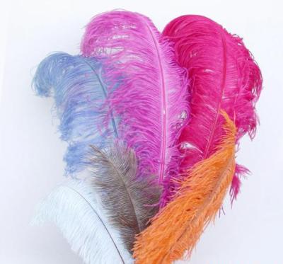 China Factory direct sales natural ostrich feather 15-95cm DIY color ostrich feather 15-135 color for sale