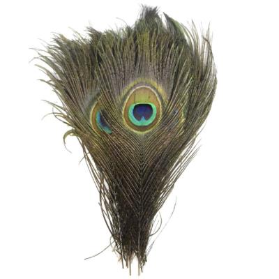 China Natural color peacock feather 25-125cm DIY color peacock feather clothing accessories factory direct sales for sale