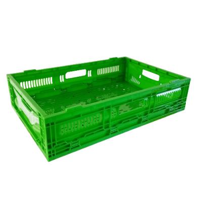 China Mesh Collapsible plastic fruit crates vegetables folding plastic crates for sale