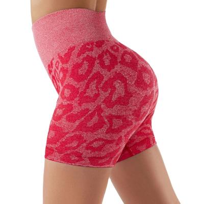 China QUICK DRY Female Leggings Low Price Leopard Print Nylon Yoga Shorts for sale