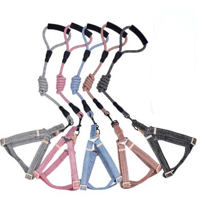 China Custom High Quality Adjustable Nylon Dog Safety Rope Leash and Harness for sale