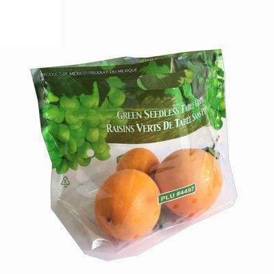 China Recyclable Orange Fruit Protection Resealable Bags for sale