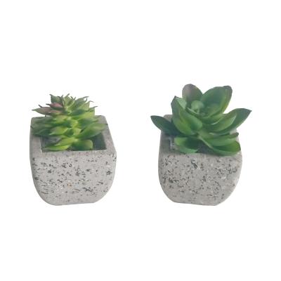 China Modern Mini Size Cement Plant Pot with Green Desert Artificial Succulent Plants for Home Decoration for sale