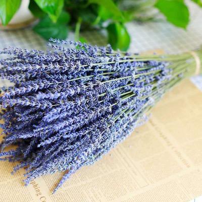 China Plant Natural Lavender Flowers Wedding Decoration Wholesale Home Decoration Lavender Bouquets Dried for sale