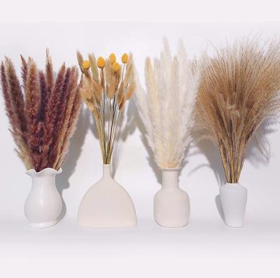 China Plant FCR102 New design amazon hot sale faux Flowers Wedding Decoration Pampas Artificial Plants Artificial Pampas Grass for sale