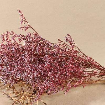 China Plant Wholesale Lavender Dried Flower for Home Wedding Decoration Eternal Life Dried Flower Bouquet Dried Flower Decoration for sale