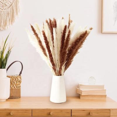 China Plant Wedding Supplies Decor Decoration Dried Flower Bouquet Decorative Artificial Dry Flowers Small Pampass Pampas G for sale