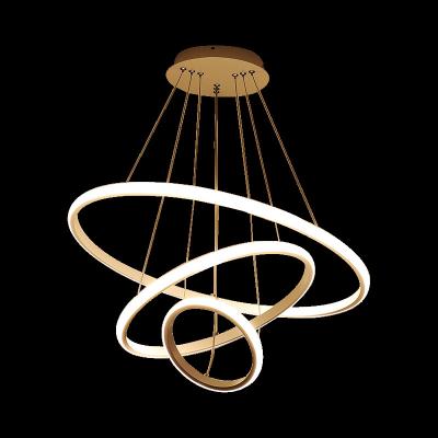 China Modern Simple Round Circle Loop Two Ring Gold 20CM+40cm Aluminum Modern Pendant Lighting for sale