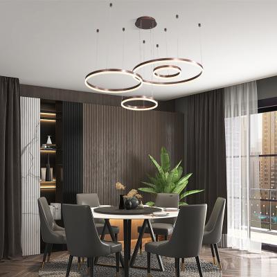 China Vintage Modern Simple Modern Circle Style European Classic Pendant Ceiling Light for sale