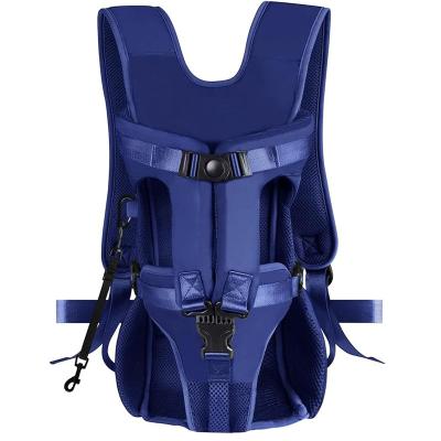 China Polyester best backpacking gear motorcycle front petsmart small little puppy dog carrier backpack for hiking biking for sale