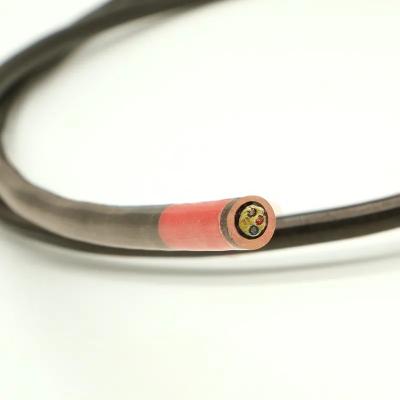 China Thermocouple Extension Cable for Temperature Monitoring - Enhanced Accuracy Quick Response, Heat Resistant Design for sale