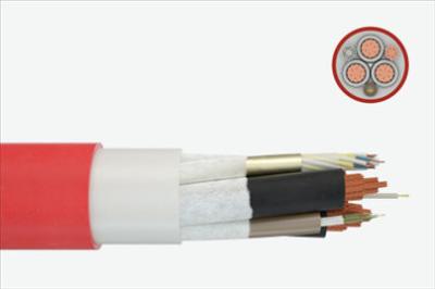 China Robust and Reliable Power: A Comprehensive Guide to Feichun Type MGG Marine Cables for sale