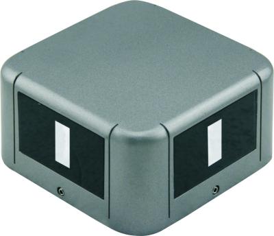 China Outdoor LANDSCAPE Square Four Sides 14W 8W 4W Led Outline Building Light for sale