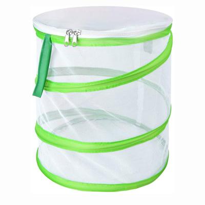 China Sustainable Collapsible Fabric And Mesh Container With Insect And Butterfly Habitat Cage for sale