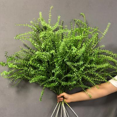 China Touch Natural Promise Wholesale Decorative Flowers Preserved Herb Melaleuca Bracteata For Home Decor for sale