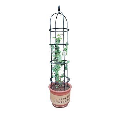 China European Creeper Outdoor Metal Plastic Coated Easily Assembled Tower Around Garden Obelisk Trellis for sale