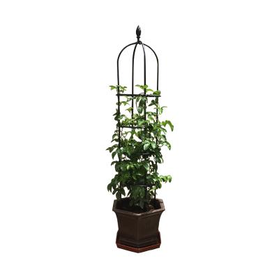 China Easily Assembled Plastic Coated Climber Scaffolding Metal Tower Around Garden Obelisk Trellis for sale