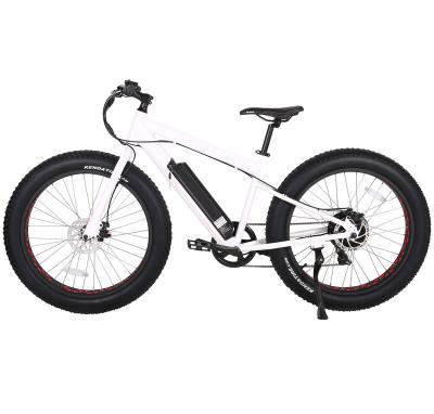 China 2020 BAOGL Standard Electric Bike / Super 20 Inch Electric Bicycle 48V 750W Motor Aluminum Alloy Frame 7 Fat Speed for sale