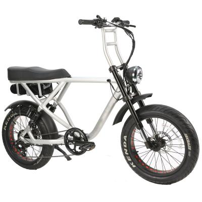 China BAOGL Standard Motor 750W Bafang Full Suspension 20 Inch Fat Electric Ebike 2 Person for sale