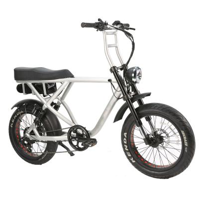 China BAOGL Electric Bicycle 48V 1000W 20inch Tire City Ebike / Standard Front and Full Rear Fat Shock Absorption for sale