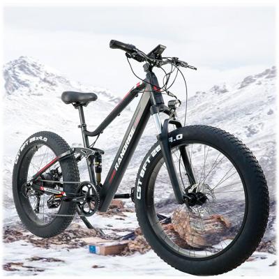 China Aluminum Alloy RANDRIDE 6~21-Speed ​​Mountain Bike Electric Bike MTB Bicycle Full Suspension 500w Electric Motor Fat Tire for sale