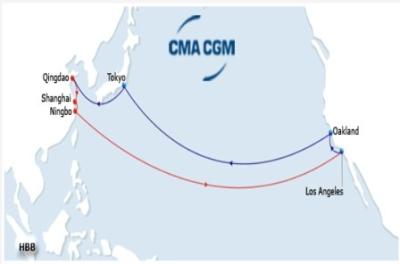 China FAST, SEA FREIGHT,  SEA SHIPPING  FROM QINGDAO, SHANGHAI, NINGBO TO LOS ANGELES,CA, US WITH  COMPETITIVE RATES for sale