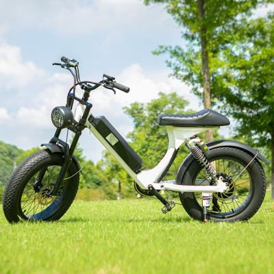 China Electric Mountain Bike City Electric Bike 1000w 73 Aluminum Alloy Super Fat Electric Bike 1000w Tire for sale