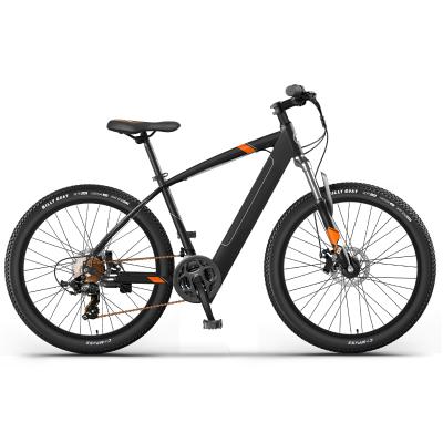 China Carbon Steel Electric City Bike 26