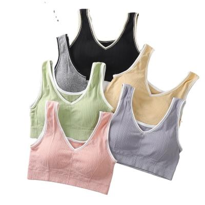 China QUICK DRY Vest 2.0 Girls Chest Wrap Seamless Graphene Lined Anti Bumping Anti-Go Yoga Sports Bra for sale