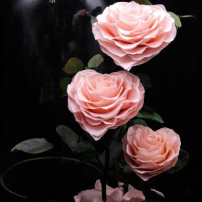 China Preserved Flowers+glass Dome Delicate Appearance Reasonable Price Preserved Rose In Glass Dome for sale