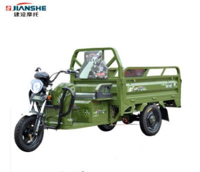 China Hot Selling Adult Battery Power 3 Wheel Motorcycle Electric Cargo Tricycle for sale