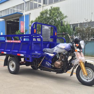 China Overseas Hot Selling Cargo Customized Open Cabin Strong Capacity AdultMotorcycleTruck 3 Wheel Cargo Tricycle Strong Climbing Motorcycle for sale