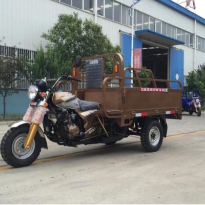 China Strong Climbing Cargo Capacity No Part Mini Cargo Van Pickup Car Cargo Truck Passenger Tricycle Gasoline Engine Type for sale