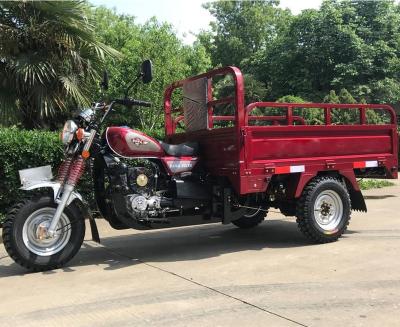 China China4-Stroke Cargo Air-cooled Engine 200cc Gasoline Passenger Tricycle Egypt Motor Tricycle For Sale Cargo Tricycle Motorcycle for sale