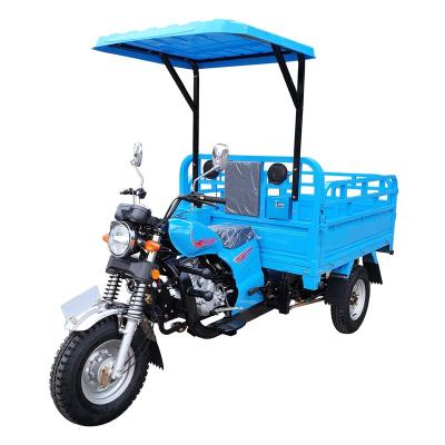 China YAOLON cargo gasoline tricycle triciclo de carga adult tricycle for sale for sale