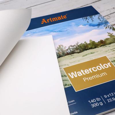 China Artmate Watercolor Paper Pad 9X12 Inch 12 Sheets140lb/300gsm 2 Packs, Acid Free Medium Grain Cold Pressed Drawing Paper ATO-PP0912W-2 for sale