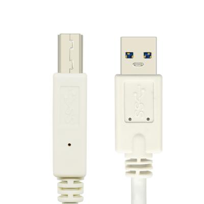 China 3.0 Extension USB A Male Computer Usb 2.0 Printer To USB B Male For Printer Scanner Printing Cable for sale