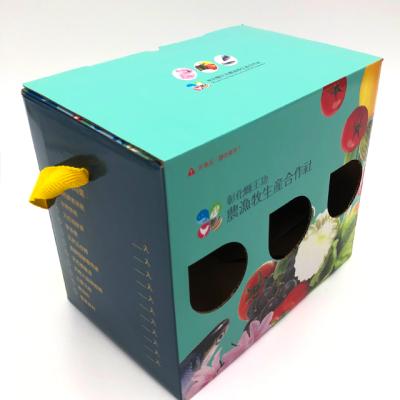 China Taiwan Recyclable Gloss Custom Lamination Printed Corrugated Packaging Boxes for sale