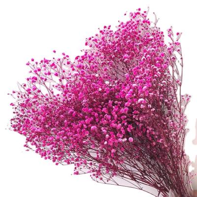 China Fashional Real Natural Touch Preserved Babysbreath Flowers Gypsophila Flower Baby's Breath Bouquets Wedding Home Decor for sale