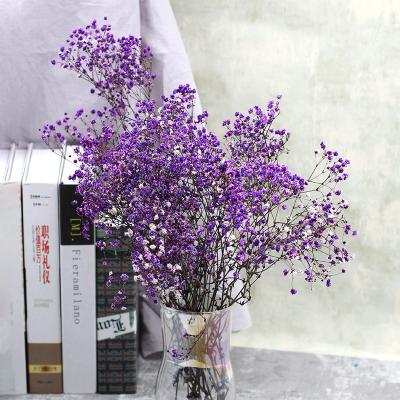 China Fashional Gypsophila Flower Preserved Dry Flower Bouquet Colorful Gypsophila by Dry Babysbreath for sale