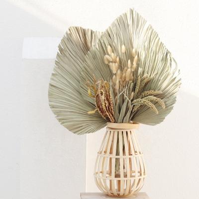 China Fashional Artificial Dry Palm Leaves Flower Palm Fan Natural Dry Leaf Plants Dry Banana Leaf for sale