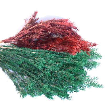 China Fashional Wedding Decor Dried Flower Bouquets Preserved Flower Melaleuca Bracteata Flower for sale