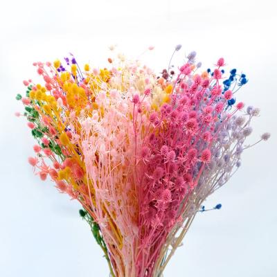 China Fashional True Touch Dried Flower Bouquet Preserved Long Stem Valentine Fruit Flower For Decoration for sale