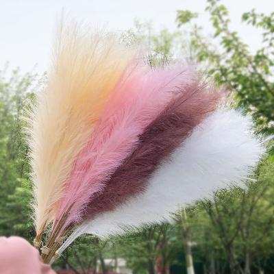 China Fashional Popular Wedding Reed Branch Indoor Artificial Fake Flower Decorative Pampas Grass for sale