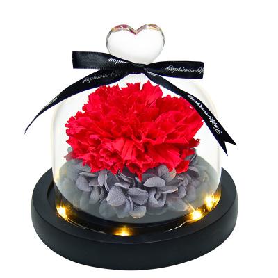 China Fashional Mother's Day Gift Natural Dry Caryophyllus Small Carnation Carnation Dry Selling Preserved Flowers Best in Gift Box for sale