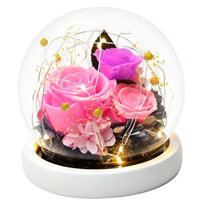 China 2021 Fashional 2021 Hot Selling Natural Preserved Eternal Flower Rose With LED Light Durable Roses In Glass Dome For Wedding And Gifts for sale