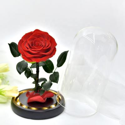 China Best Selling Fashional Stabilized Flower Eternal Rose In Glass Beauty And The Beast Rose In Glass Dome Rose Eternal LED Light for sale