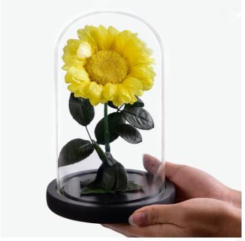 China Fashional Factory Price Preserved Eternal Enchanted Preserved Sunflower in Gifts Wedding Gift Eternity Glass Roses Preserved in Dome for sale