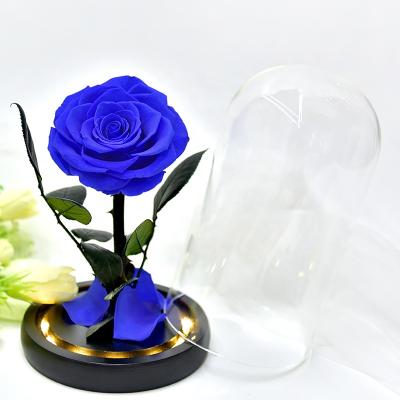 China Fashional Stabilized Beauty Beast Belle Red Preserved Decorative Flower Gift Eternal Preserved Roses in Glass Dome for sale